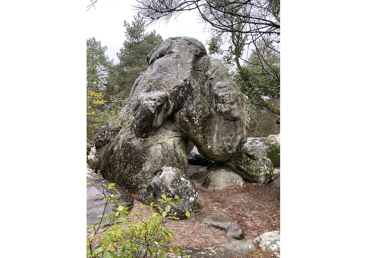 Des rochers bien connus des varapistes de la forêt de Fontainebleau