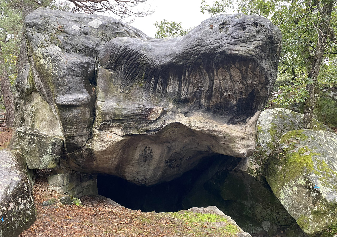 Des rochers en forme de tortue à Fontainebleau
