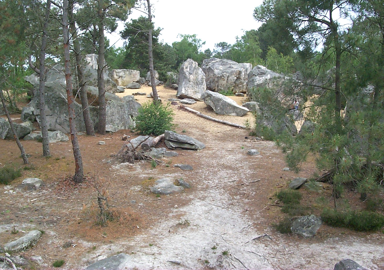 Chemins en sable blanc et fin entre les rochers de la forêt de Fontainebleau