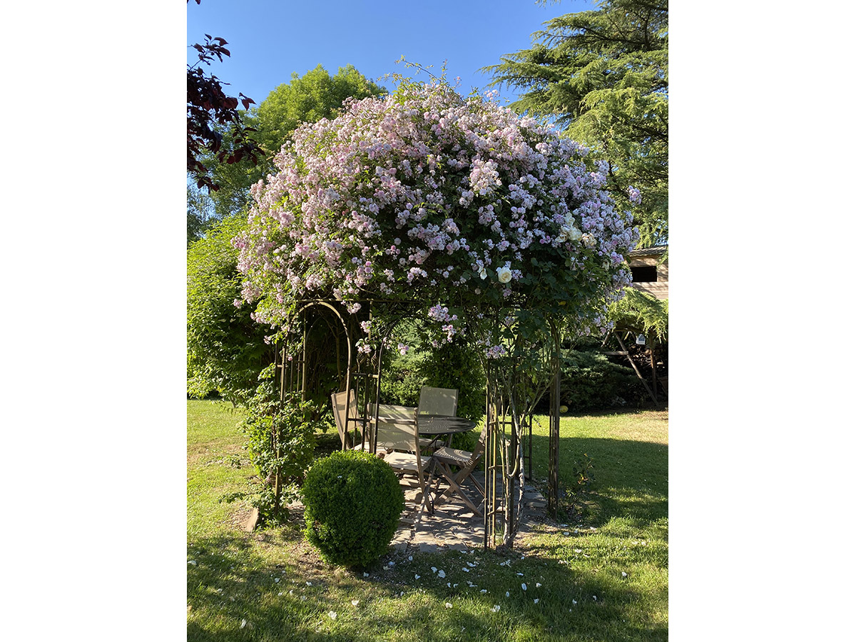 Sous la fraicheur de la tonnelle