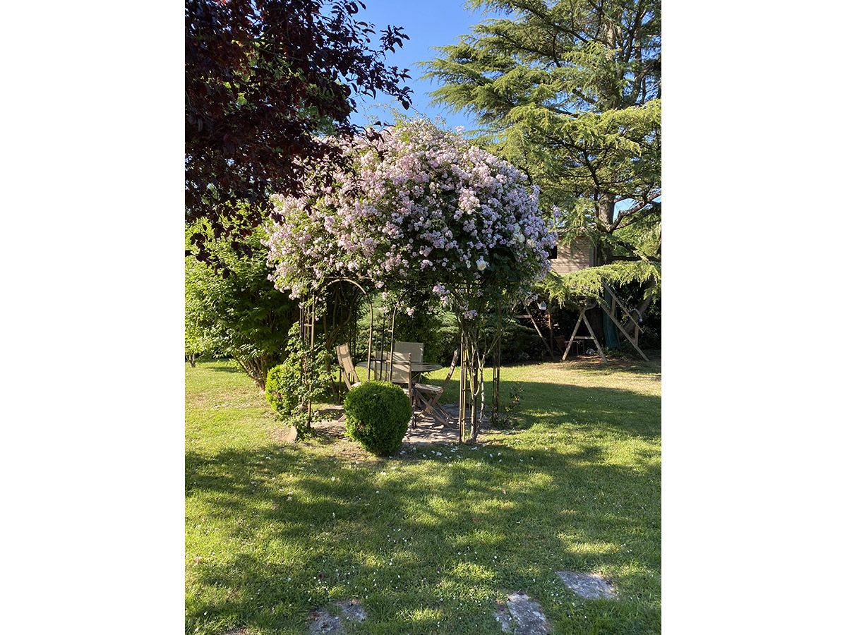 La tonnelle fleurie sous le soleil du printemps