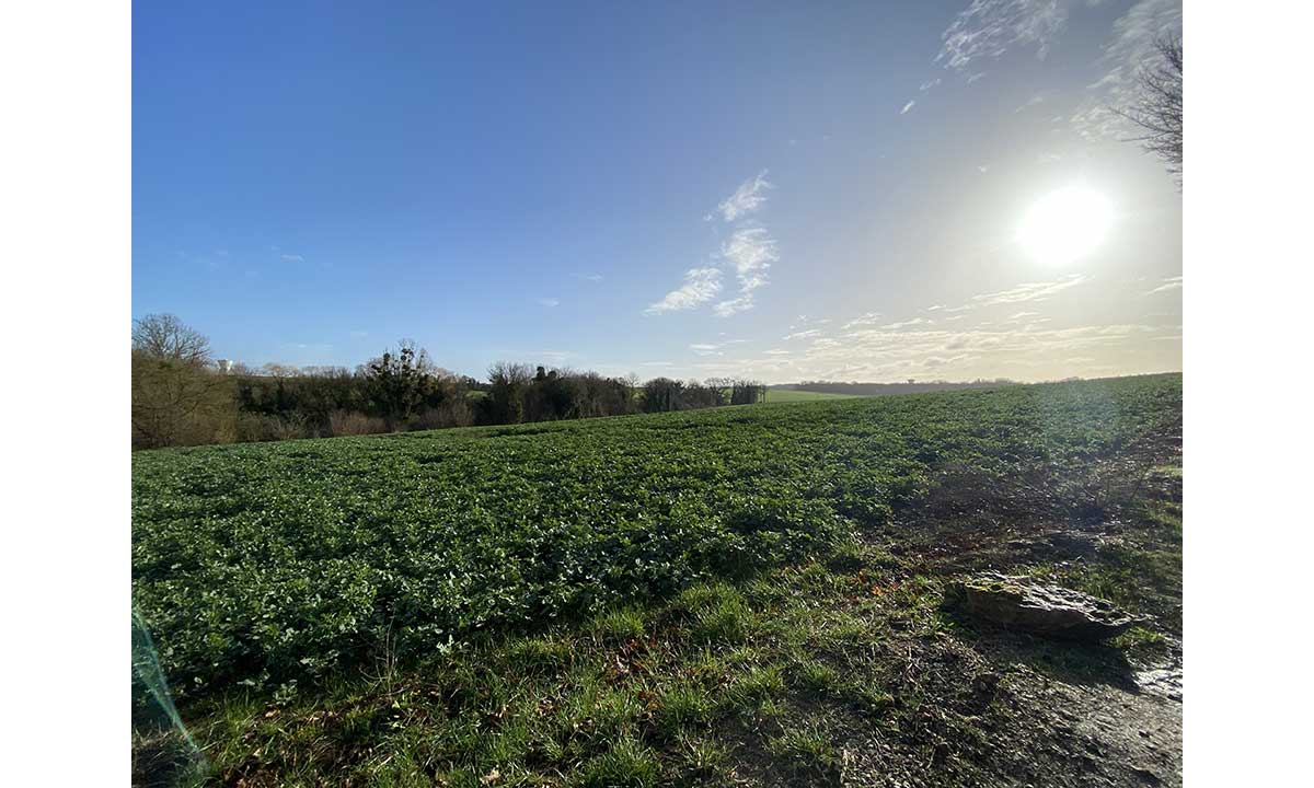 Paysages vallonnés et tranquille de Seine-Et-Marne